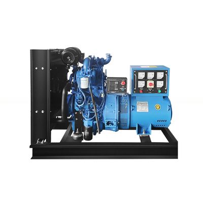 20kW 20kVA 25kVA 25kW 31.25kVA 엽형 디젤 발전기 구리 전원장