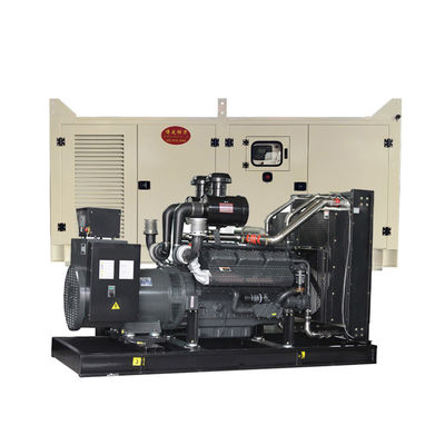 12V DC 전기 시작 313kva 침묵 디젤 발전기 250kw 중국어 사용자 정의